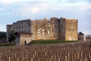 Français : Château de Fargues (Gironde, France)
Deutsch: Schloss von Fargues (Gironde, France)
English: Castle of Fargues (Gironde, France)
Italiano: Castello di Fargues (Gironde, France)