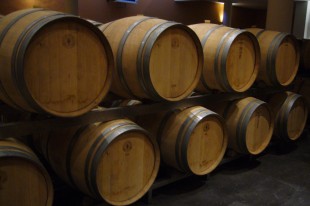 Barriques vin blanc du château de Rochemorin