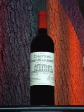 Bouteille du Château Haut-Marbuzet 2008