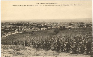 Français : Le Clos des Bouveries est une parcelle de vigne du village de Vertus (1er Cru) orienté plein et situé à mi-coteau. Le Clos des Bouveries appartient historiquement à la maison de Champagne Duval-Leroy.