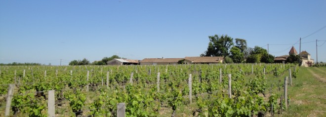 Château Rabaud-Promis et une petite partie de son vignoble