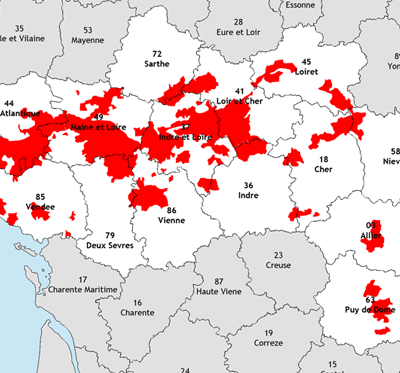 Vignoble de la loire