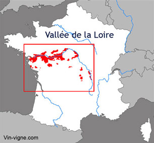 Carte viticole du vignoble de la Loire