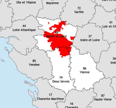 Localisation de la région viticole d'Anjou-saumur