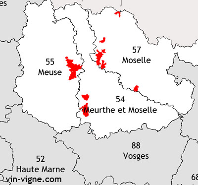 Vignoble de la lorraine