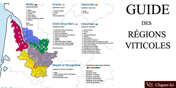 Le guide des régions viticoles: toutes les régions viticoles passées à la loupe !