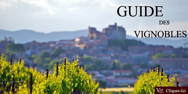 Le Guide des vignobles: tout savoir sur les vignobles de Bordeaux, Champagne, Bourgogne...