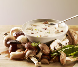Crème - Velouté - Mousse: accords Mets et Vins