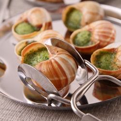 Escargot: accords Mets et Vins