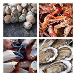 Apéro de fruits de mer - Apéro de crustacé: accords Mets et Vins