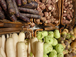 Légume d'antan - Racine - Radis: accords Mets et Vins