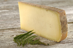 Pâte pressée cuite - Fromage à pâte pressée dure: accords Mets et Vins