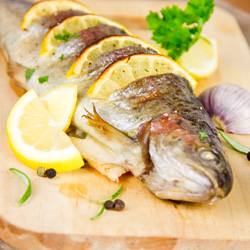 Poisson frit - Poisson pané: accords Mets et Vins