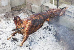 Viande rouge à la broche: accords Mets et Vins