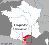 Vignoble languedoc roussillon