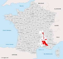 vignoble du rhone