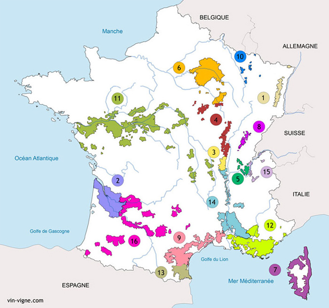 CARTE PLIEE Carte des Principaux Cépages des Vignobles de France 